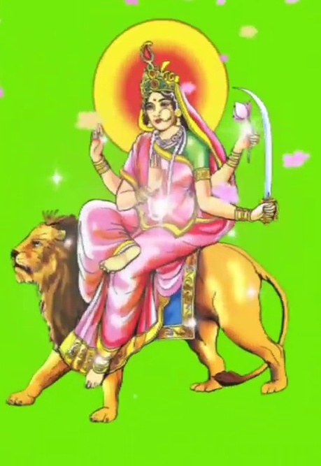 Navratri 2023 Know about 9 colors of Navratri and their significance