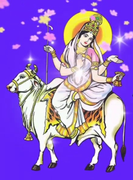 Navratri 2023 Know about 9 colors of Navratri and their significance