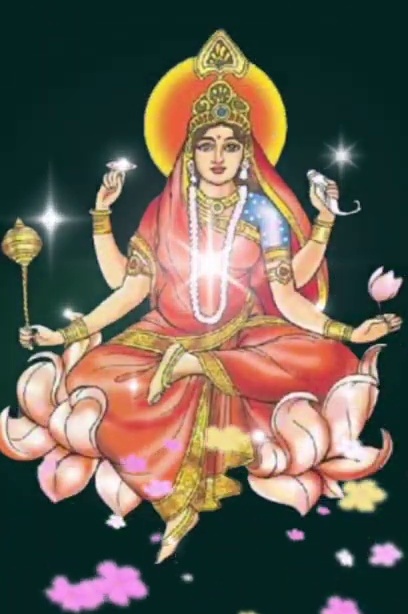 Navratri 2023 Know about 9 colors of Navratri and their significance